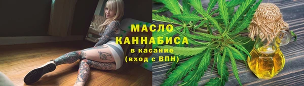 прущие крисы Бородино