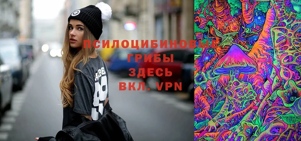 прущие крисы Бородино